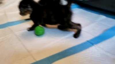 Practicing our wobbles