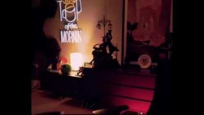 BEHOLD WORLD! LOOK UPON MY GLORIOUS CREATION