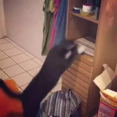 Professional organizer (reversed)