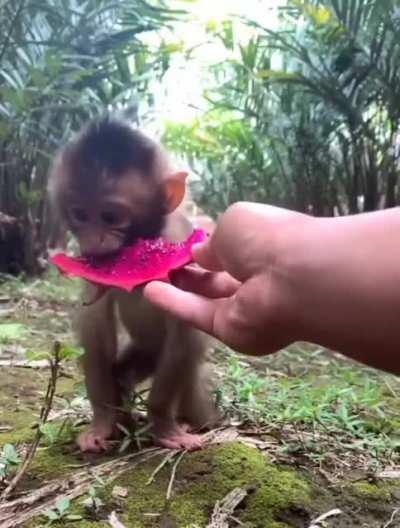 Goddamnit that is adorable