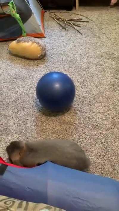 More of Gary’s fancy footwork