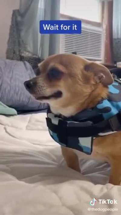 Error, life jacket overload