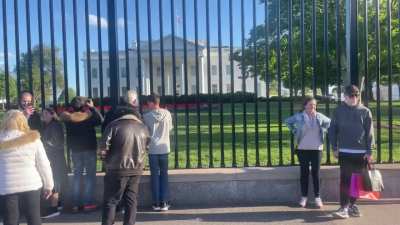 Protest Donald “Child Fucking Raper” Trump at the White House while you still can