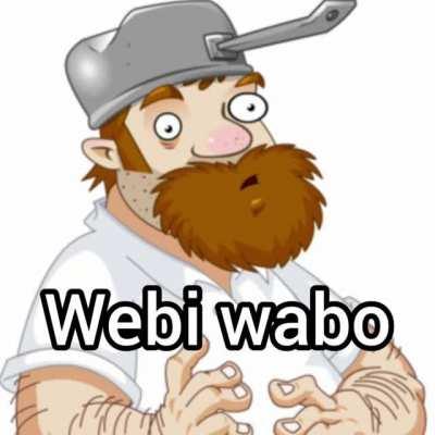 Webi wabo