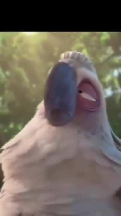 Es igual jajajajajaja