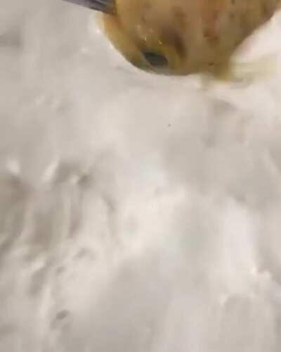 This fishy eating just fills me up with happiness!