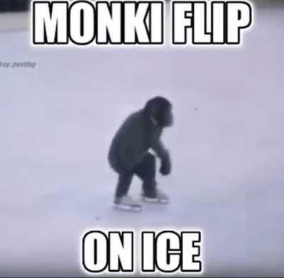MonkI Flip