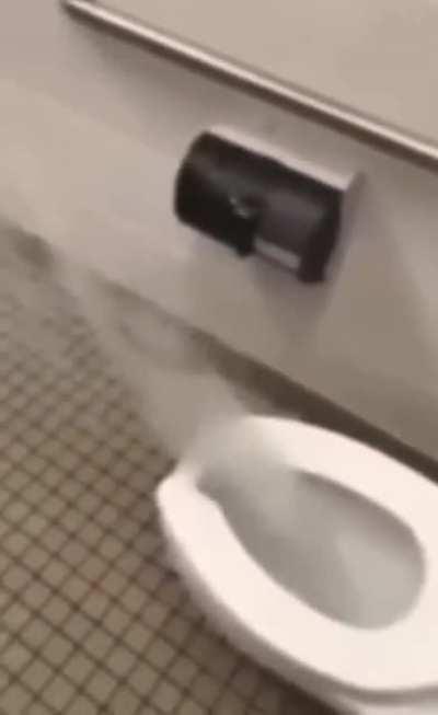 Don't forget to use the built-in bidet.