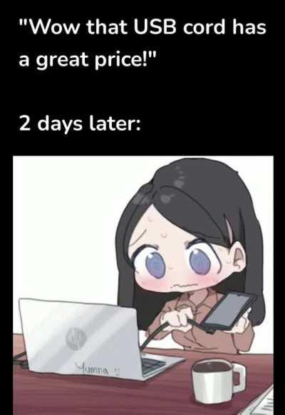 You get what you pay for