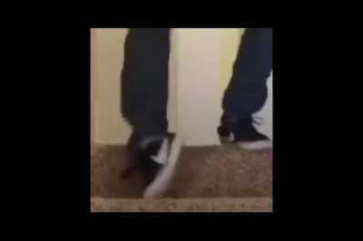 its okay bruh i got the quagmire toilet