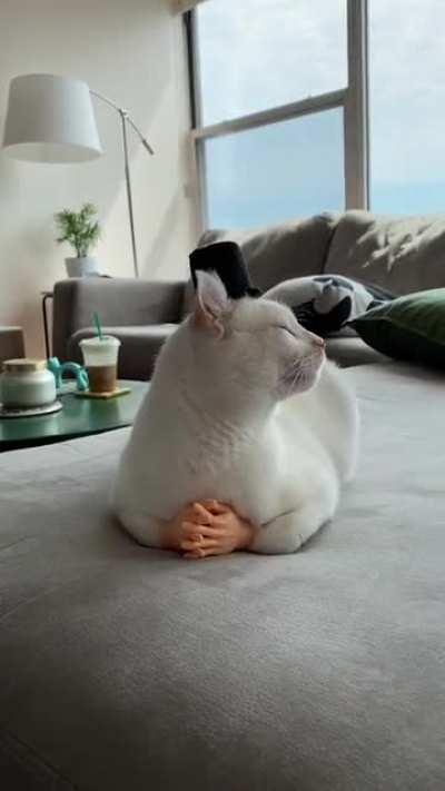 Hope this belongs here.