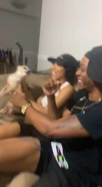 This dog is evil wtf