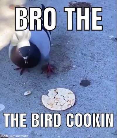 the bird is cooking
