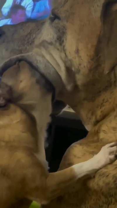 When you forgot to share a treat