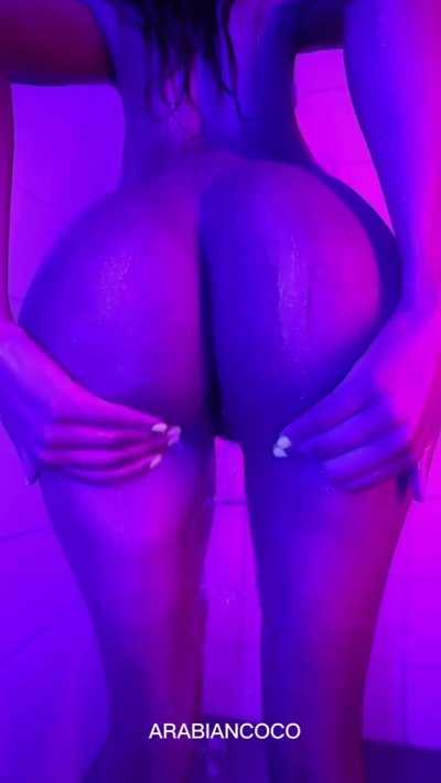 Big Ass Bimbo Nude Shower Twerking