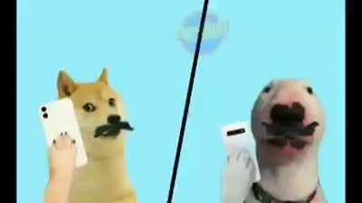 Seeman Bad word (5). Mp4 😂😂😂😂😂😂