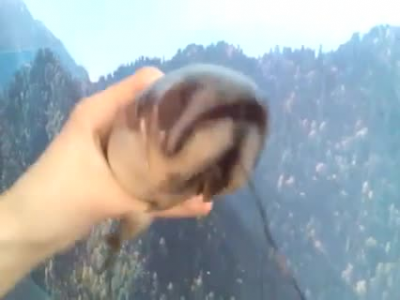 funny fish 3 sith recenge