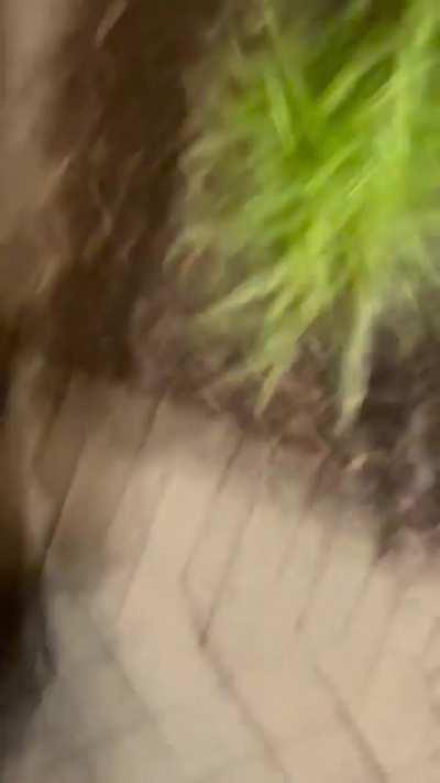 Yungins down da harbor 👋