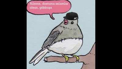 türkçe rap olur gibi