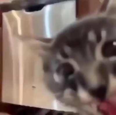 AAAAAAAAAAAAAAAAAAAAAA