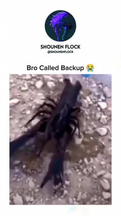 Bro called in air strike