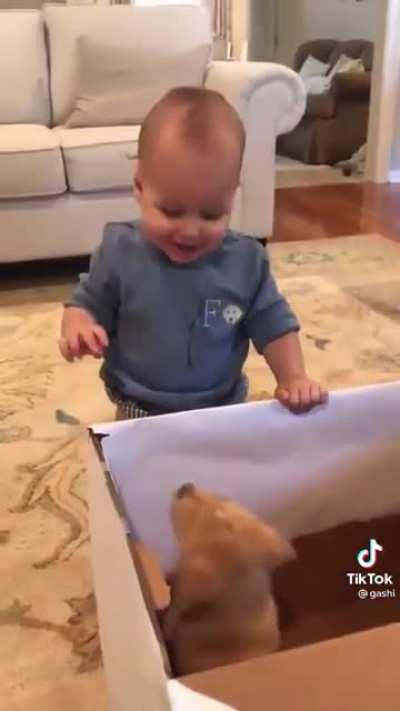 The baby’s laugh 🤗