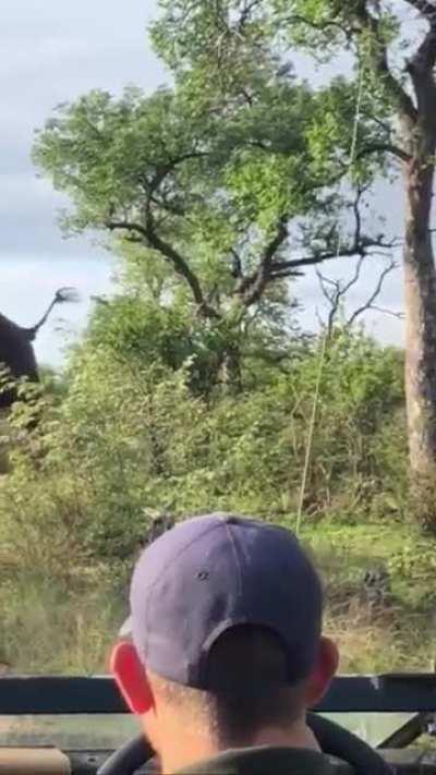 Guess he just wanted to know what was in the trunk