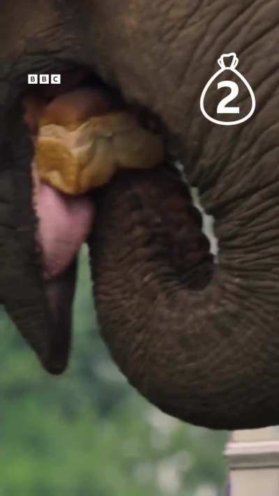 Least tax hungry Indian politician 