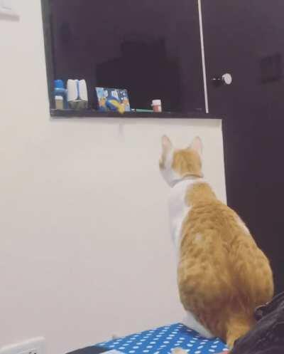 Mom! Mooom ...Can you get my toy for me?