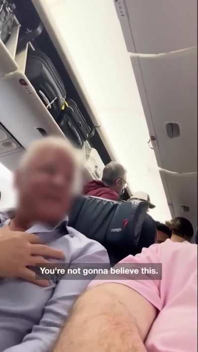 My fatroll claimed this armrest