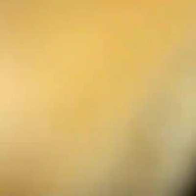 POV U are the new kitty toy