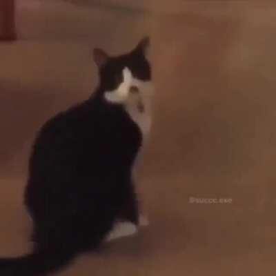 meme viejo pero aun así esta bueno