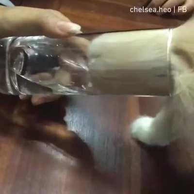 AMINA KOYİM ŞASLDFKJGASDŞLGHASŞLDKGHCAMSLVDJGŞJDHSGŞALKSDFHGŞLADFGŞALKSDJGŞLASKDJFŞASDLFJŞLSDK