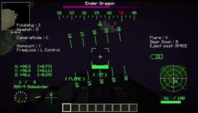 Just Defeated the Ender Dragon. Thoughts?