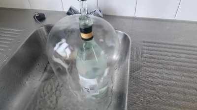 Wine bottle bubble