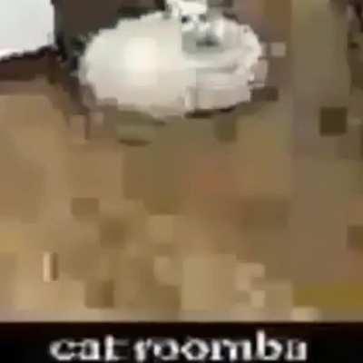 r/chunkers got notin on my cat