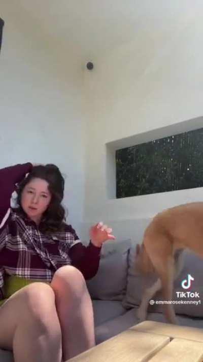 So… I Found This Masterpiece