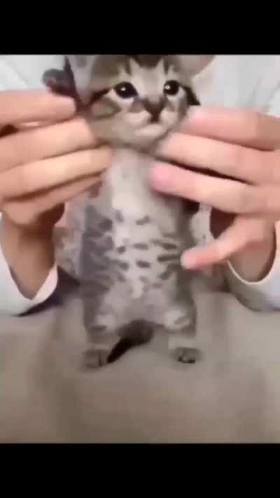 But here's the jammer