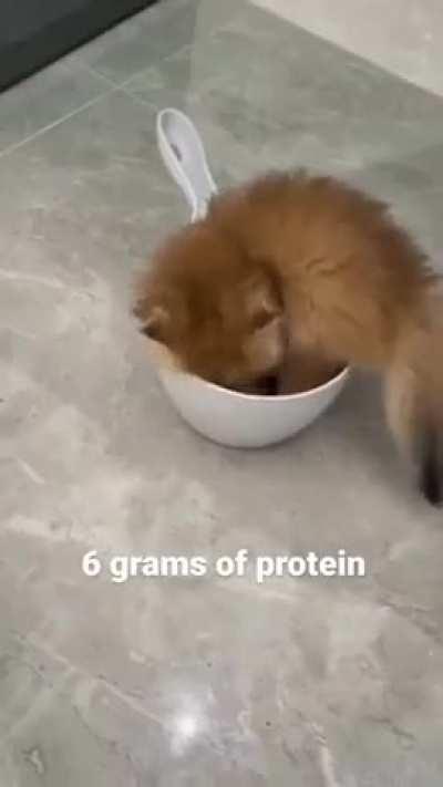 place where cat shouldn't be..