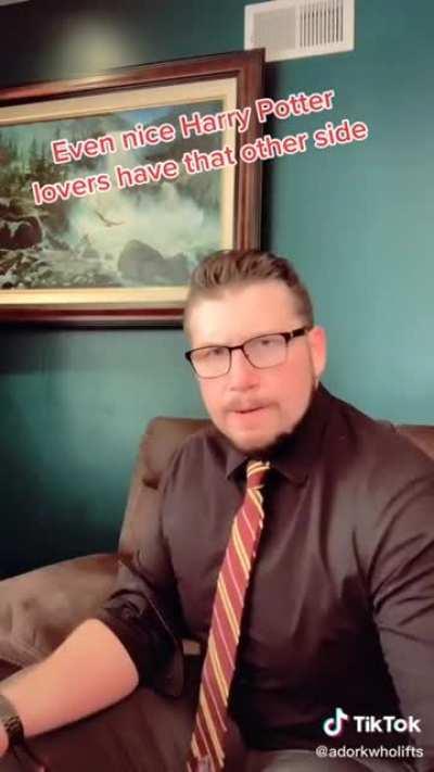 One of my absolute TTCA favourites: The bad Harry Potter fans that make your panties disappear 🥵