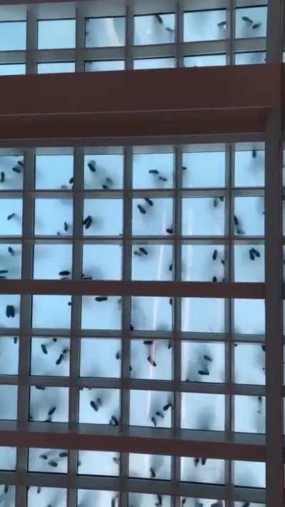 THEY ARE UNDER YOUR SKIN