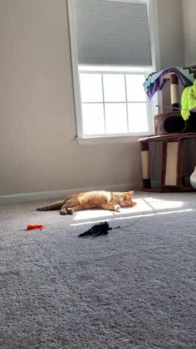 He refuses to get up to play with the wand