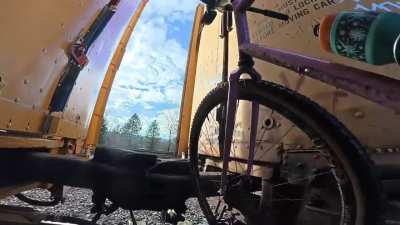 Portland’s coolest cutties