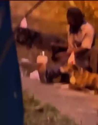 Man celebrating birthday of his dogs