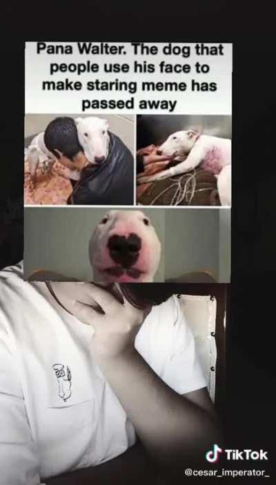 Pls Make This A Fake NEWS