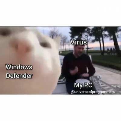 Virus goes burrrrrrr