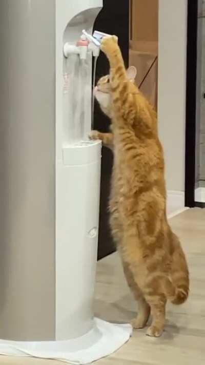 a thirsty boy