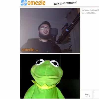 Kermit gives tip on how to pick up chicks