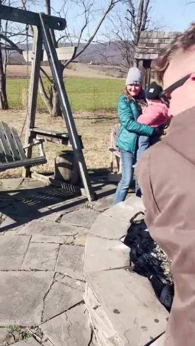 Proud to present, Bird bath ice pt 3. Thank you