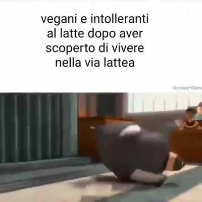 Credo che il creatore del meme abbia deletato l’account prima di postarlo su memesita quindi